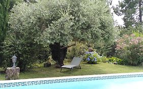 Brin d Ardèche